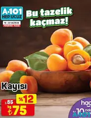 KAYISI KG